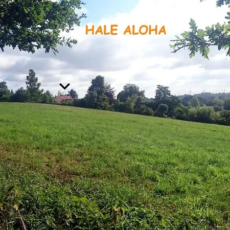 Hale Aloha 度假居