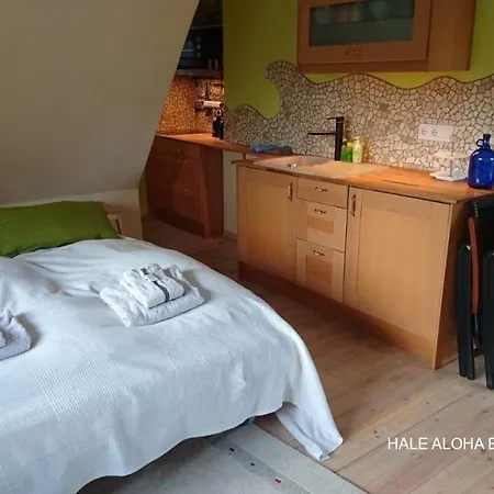 Hale Aloha Holiday home Felde
