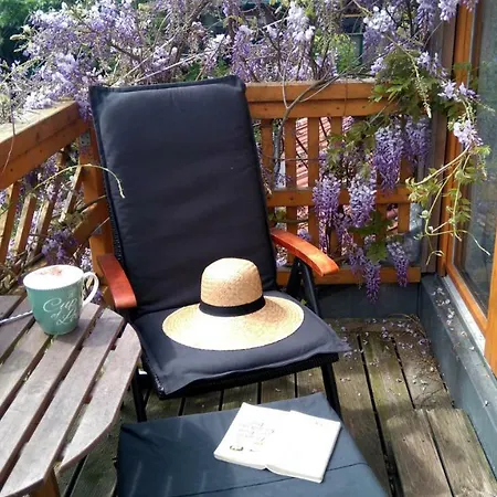 Hale Aloha 度假居 *