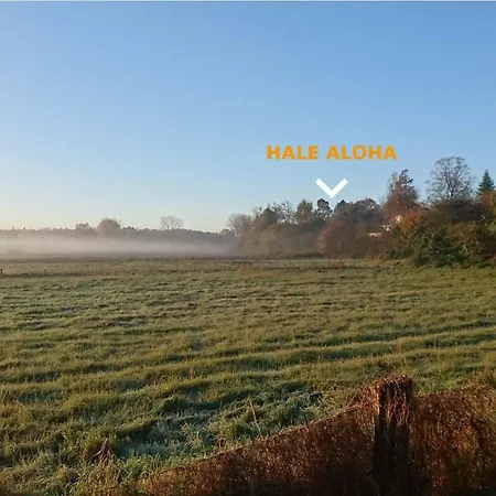Hale Aloha Ferienhaus Felde