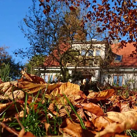 Hale Aloha Casa vacanze Felde