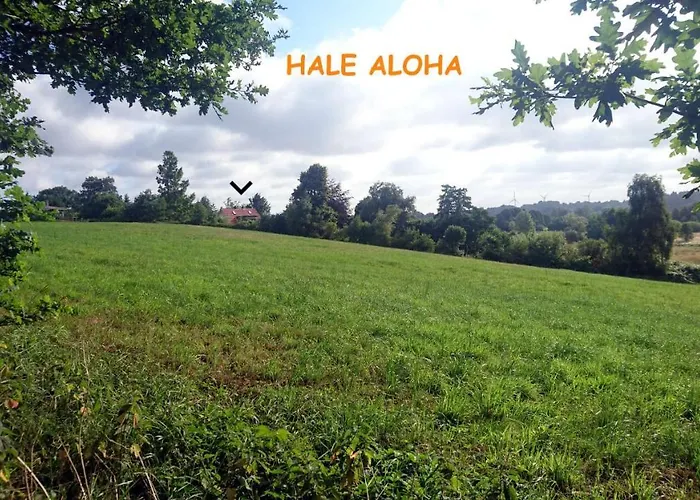 Hale Aloha Semesterbostad