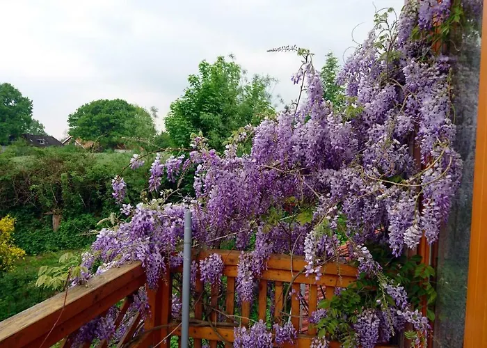 Casa vacanze Hale Aloha Felde