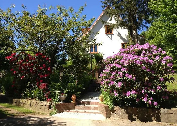 Casa vacanze Hale Aloha