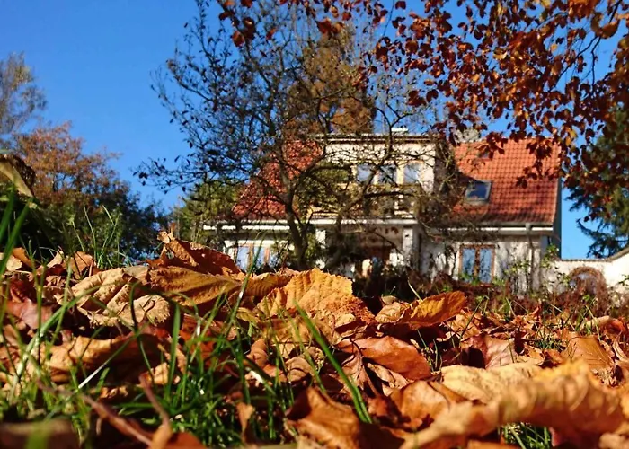 Hale Aloha Casa vacanze Felde